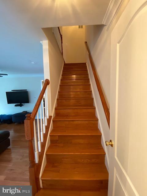 3314 Castle Ridge Circle, Unit 17 Silver Spring, MD 20904 - Photo 18 of 41 Gallery Image 18