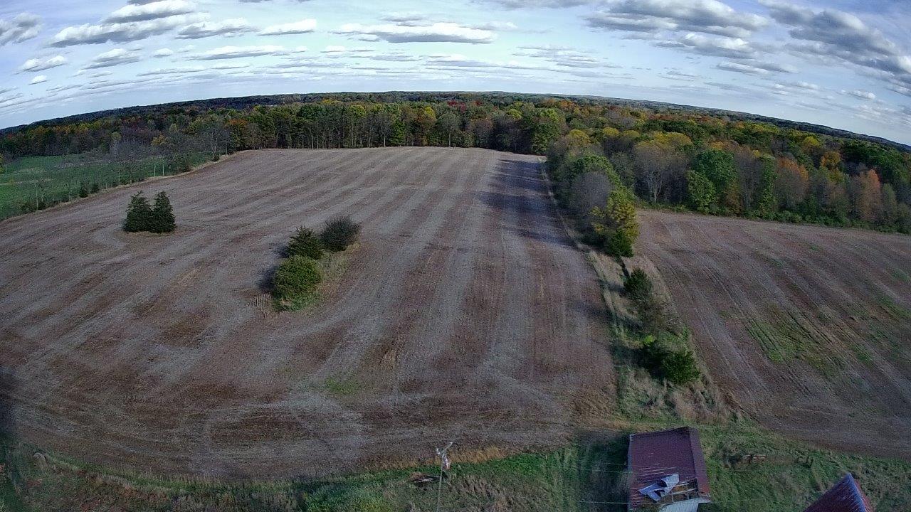 0 Burtch Parcel 5 Road Grass Lake, MI 49240 - Photo 15 of 16 20251025-163335