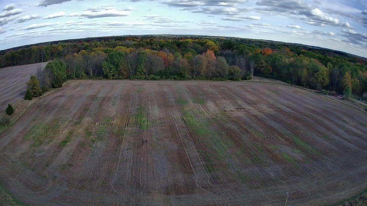 0 Burtch Parcel 5 Road Grass Lake, MI 49240 - Photo 16 of 16 20251025-163500