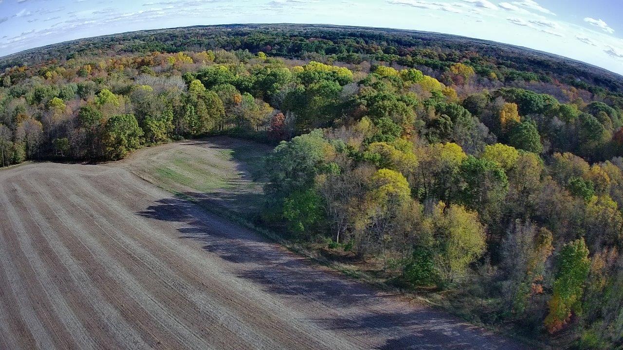 0 Burtch Parcel 5 Road Grass Lake, MI 49240 - Photo 6 of 16 20251025-154851