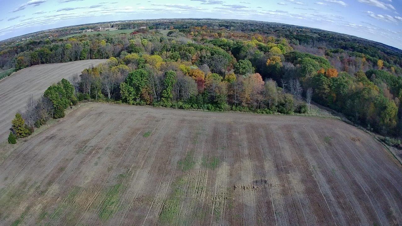 0 Burtch Parcel 5 Road Grass Lake, MI 49240 - Photo 7 of 16 20251025-155030