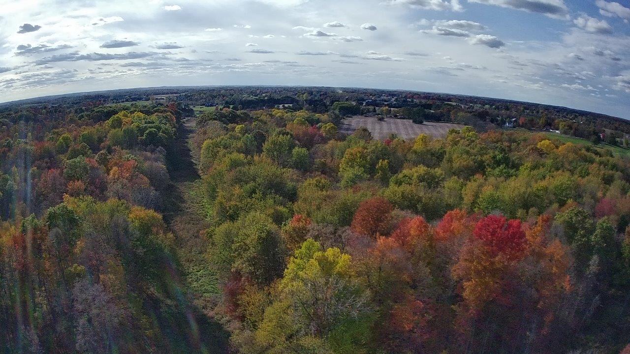 0 Burtch Parcel 5 Road Grass Lake, MI 49240 - Photo 9 of 16 20251025-160353