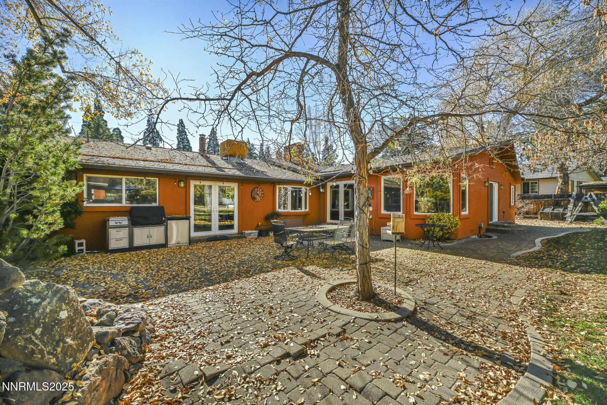 a view of a yard with a large tree