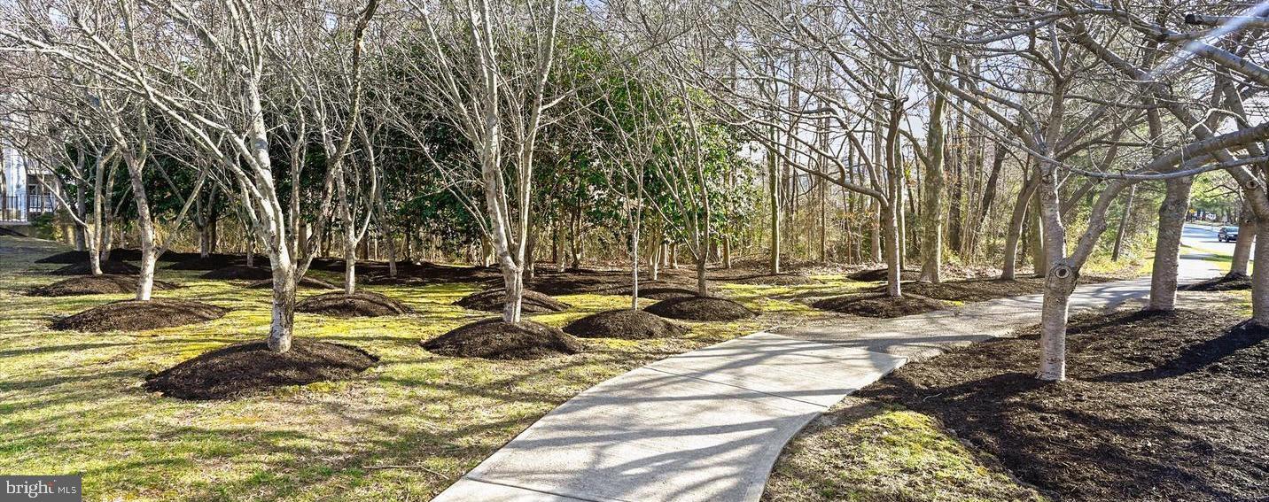 8605 Jacks Reef Road Laurel, MD 20724 - Photo 37 of 43 Community Walkways