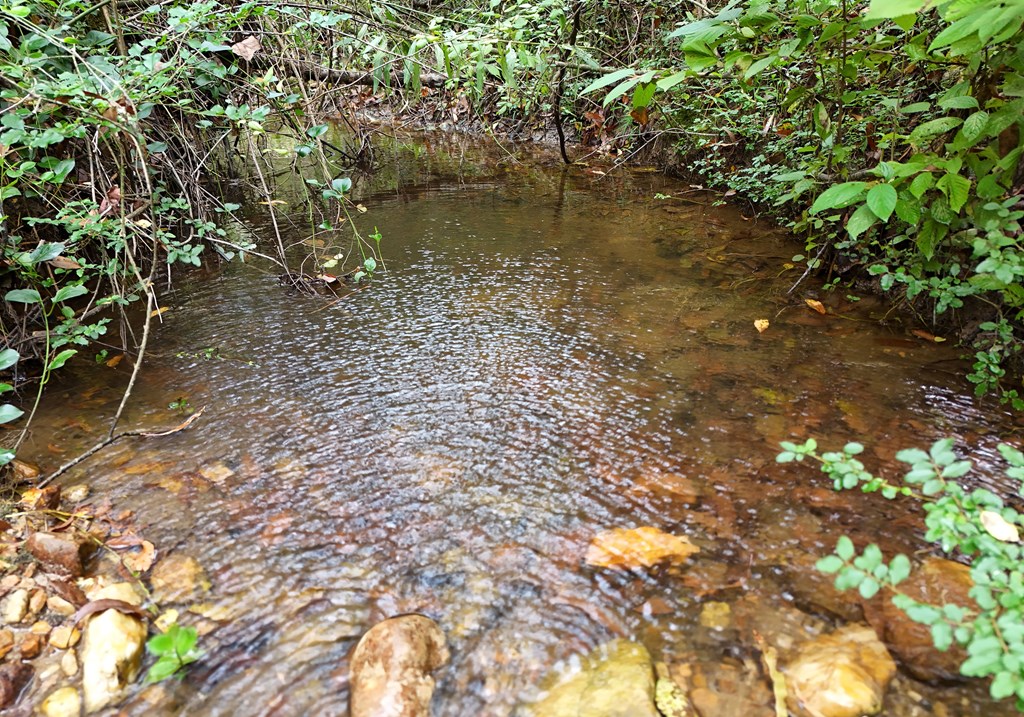 163 Moccasin Road Blairsville, GA 30512 - Photo 14 of 38