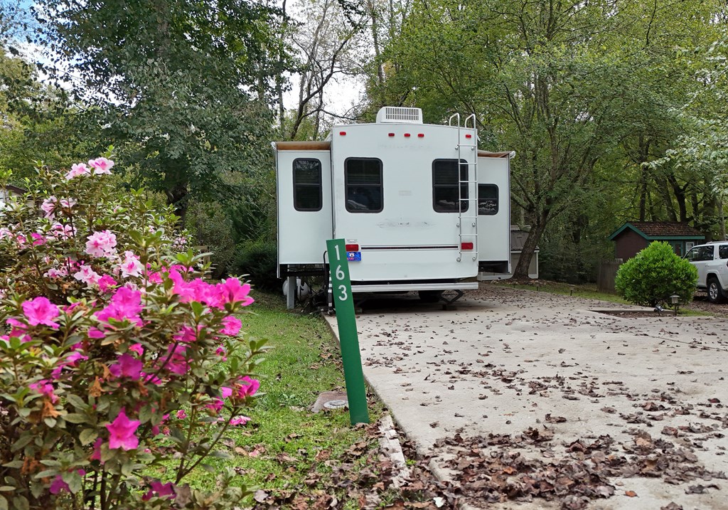 163 Moccasin Road Blairsville, GA 30512 - Photo 9 of 38