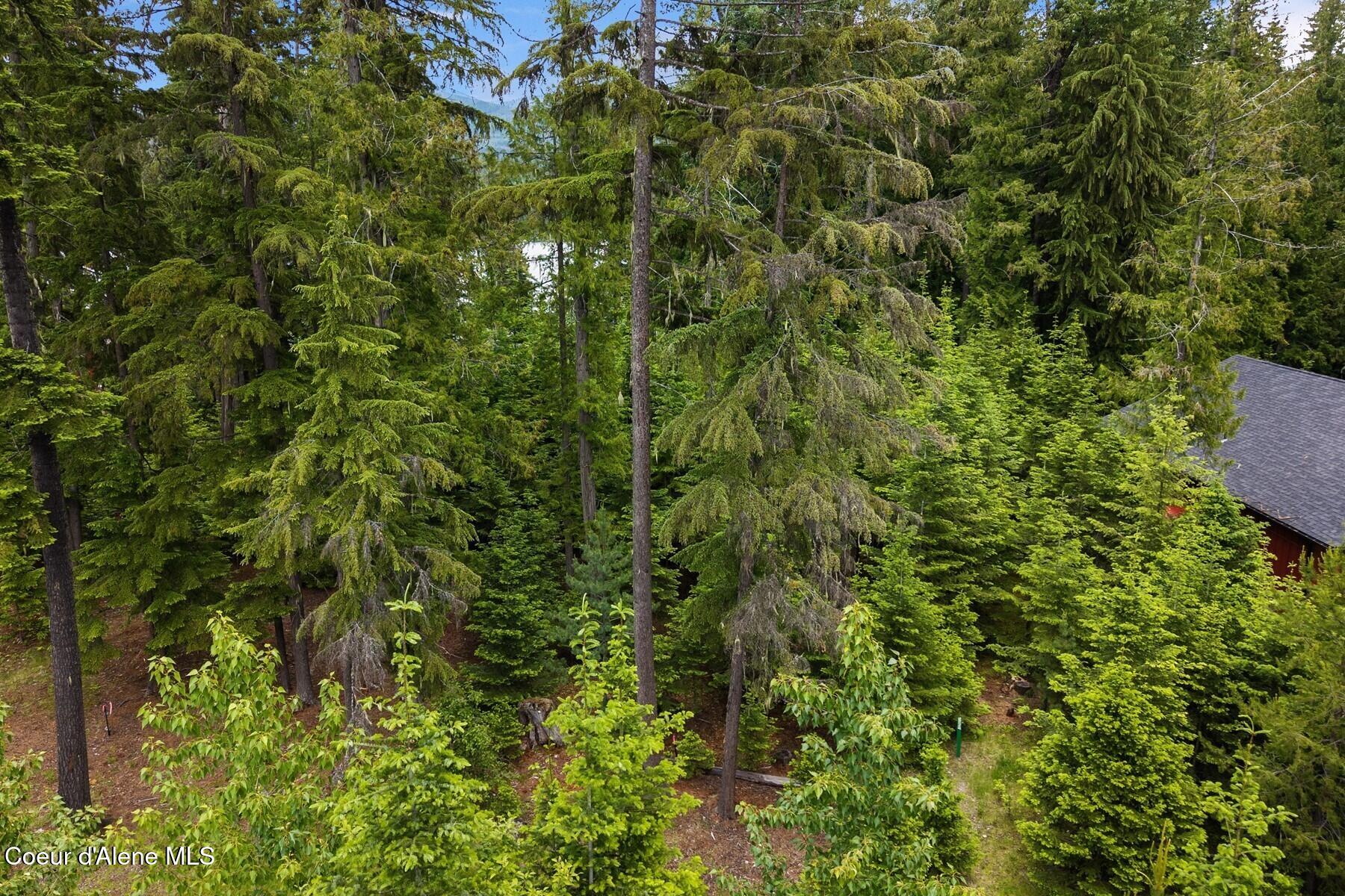 Nna Bruin Road Nordman, ID 83848 - Photo 25 of 44 86560199