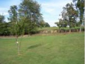220 Butchertown Road Fall Branch, TN 37656 - Photo 9 of 9 Photo 9