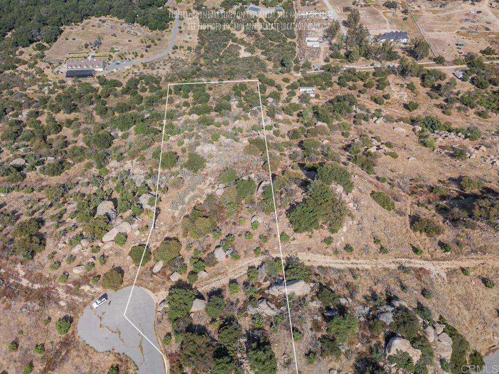 a view of a dry yard