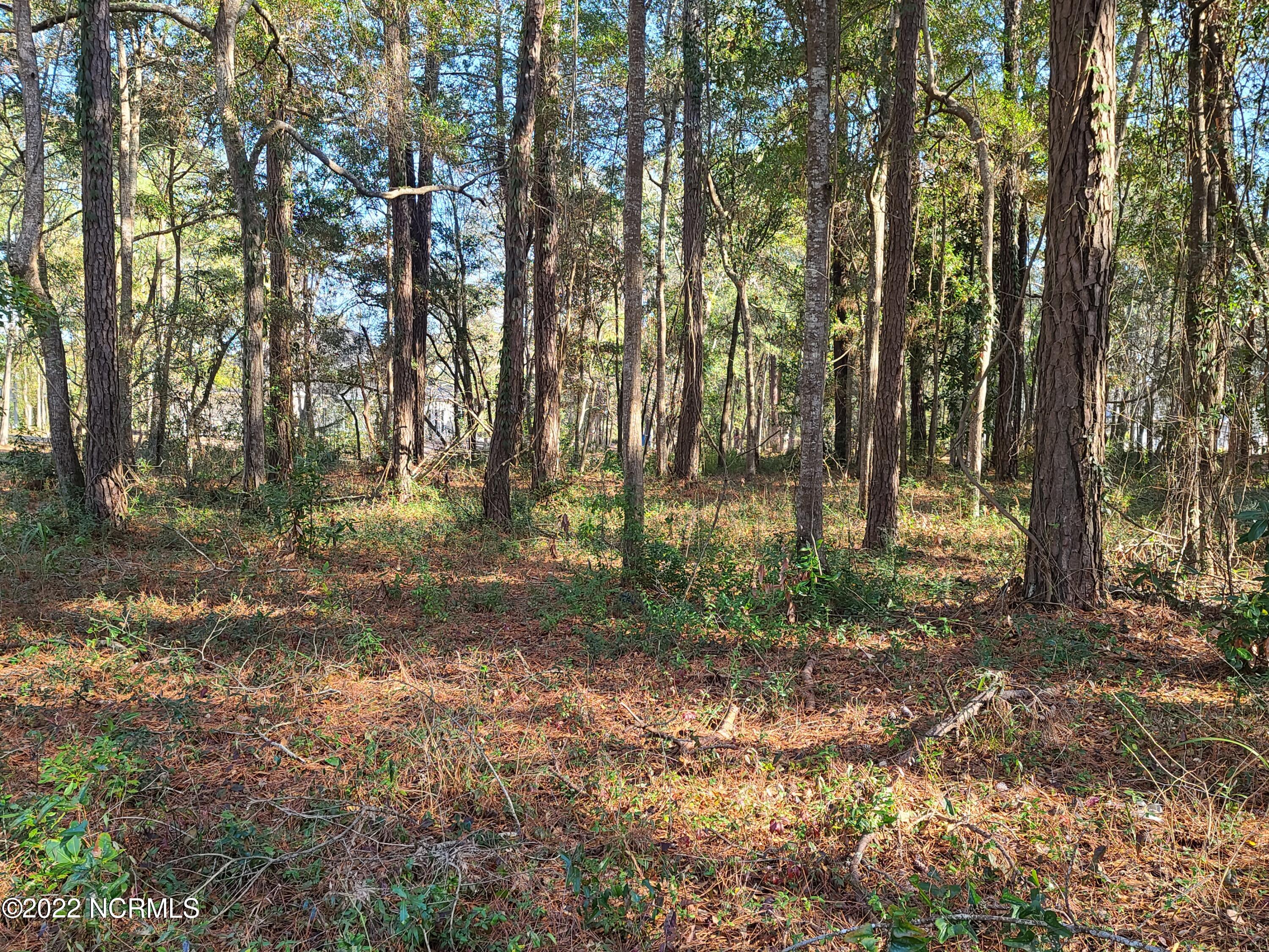 9037 Ocean Harbour Golf Club Road Southwest Calabash, NC 28467 - Photo 3 of 8 20220218_152952