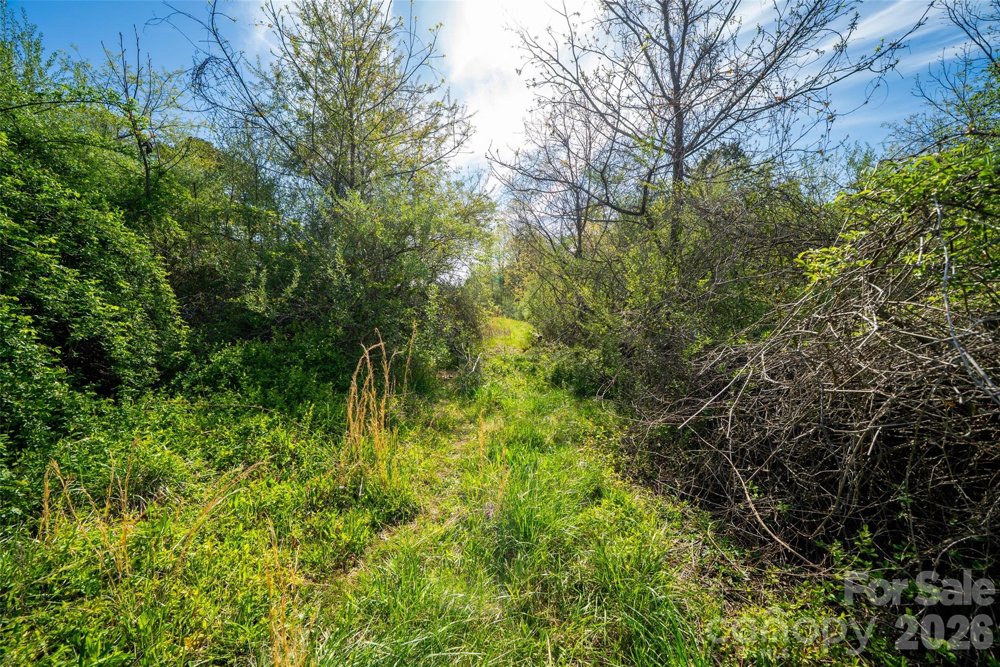 0 Old Sunset Hill Road Hendersonville, NC 28792 - Photo 4 of 9