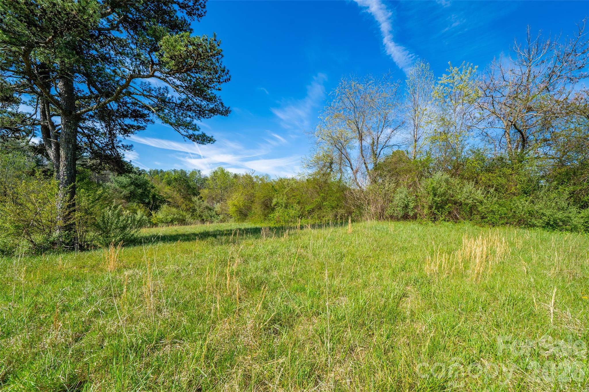 0 Old Sunset Hill Road Hendersonville, NC 28792 - Photo 7 of 9