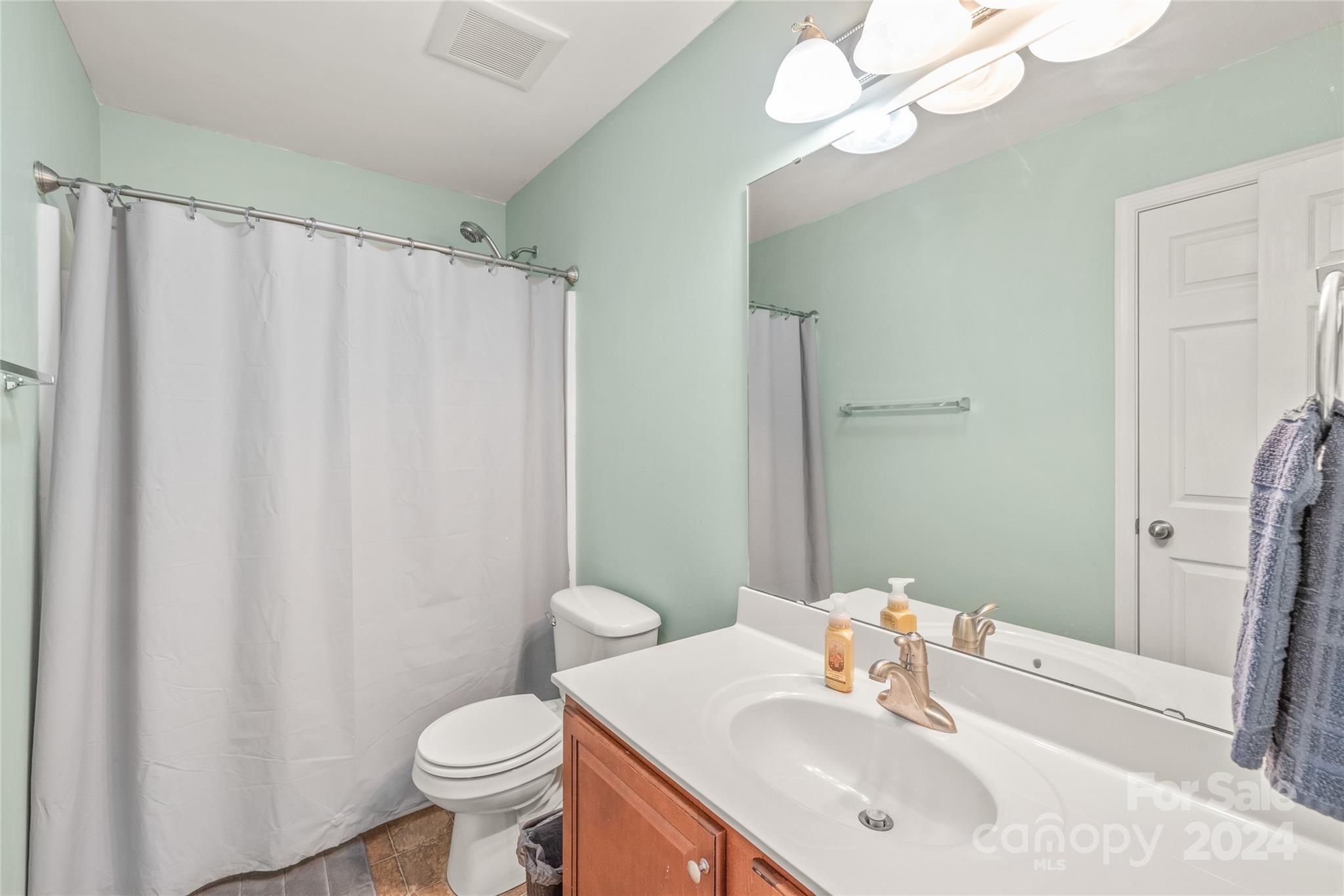 11616 Mud Drive Midland, NC 28107 - Photo 19 of 29 a bathroom with a sink vanity mirror and toilet