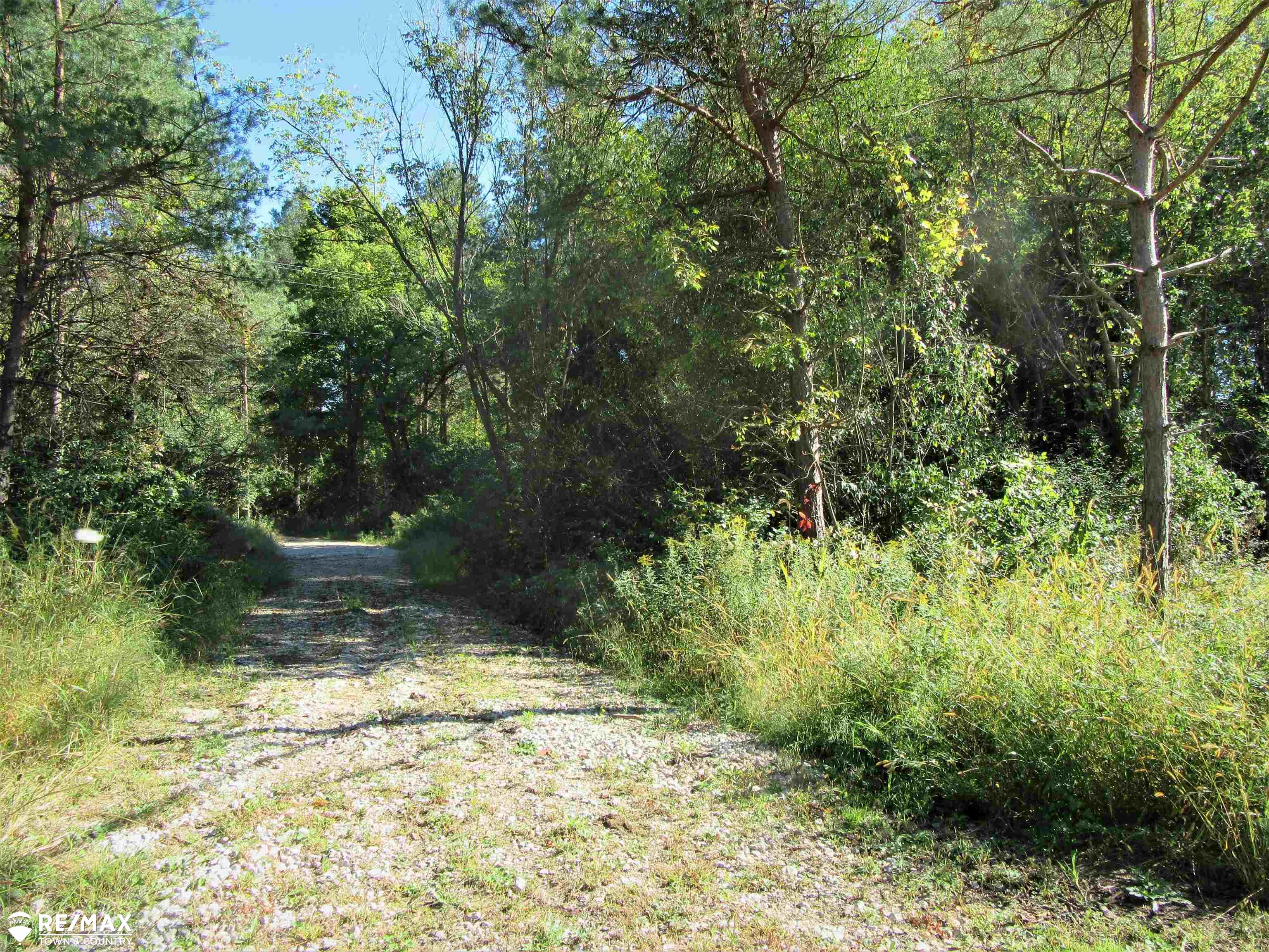 Vl North McKinley Road Flushing, MI 48433 - Photo 3 of 8