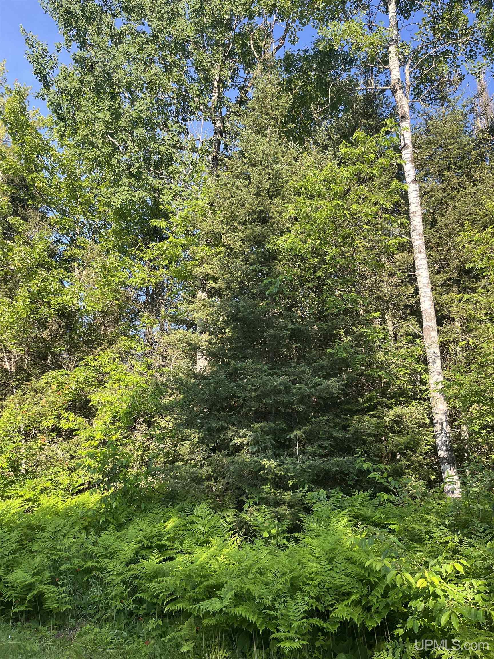 5925 Tasson Road South Ishpeming, MI 49849 - Photo 63 of 70