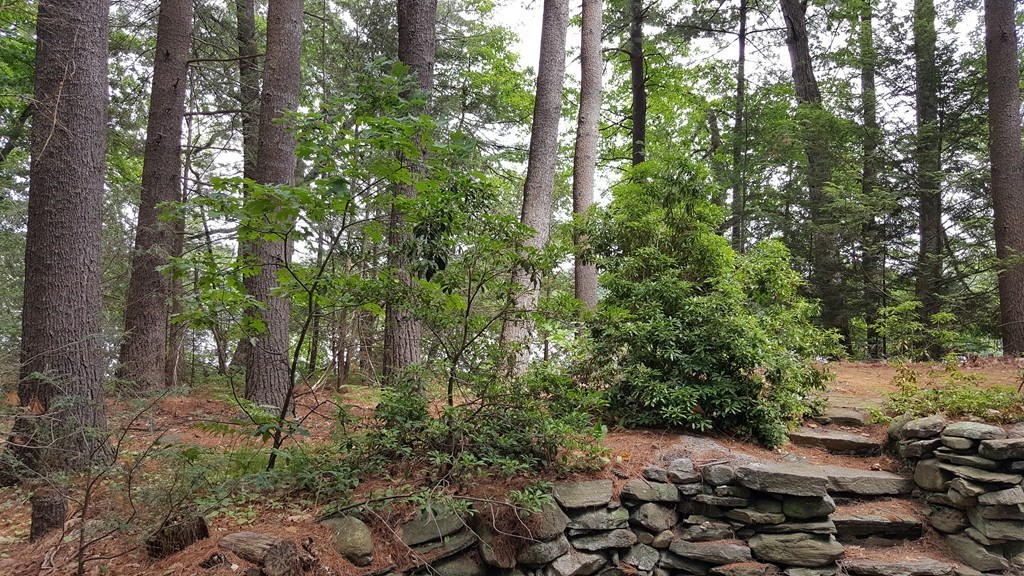 40-42 Hudson Road Bolton, MA 01740 - Photo 3 of 11 Gallery Image 3
