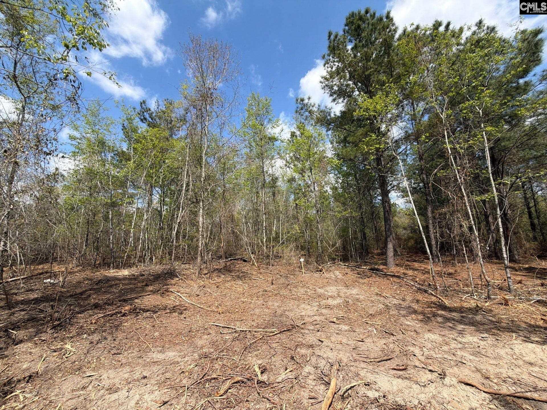 3 Mt Calvary Rd Ridge Spring Ridge Spring, SC 29129 - Photo 25 of 27
