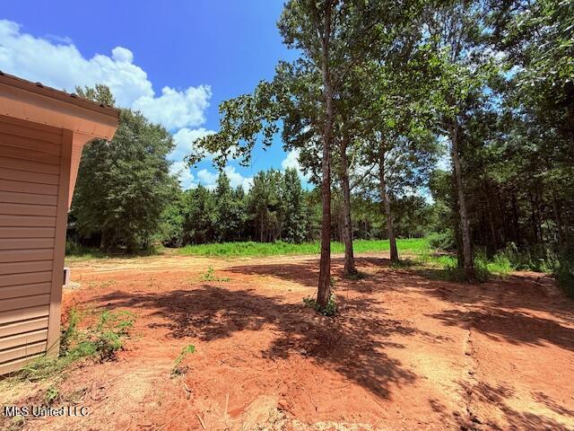1058 Kokomo Road Kokomo, MS 39643 - Photo 6 of 23 IMG_0290