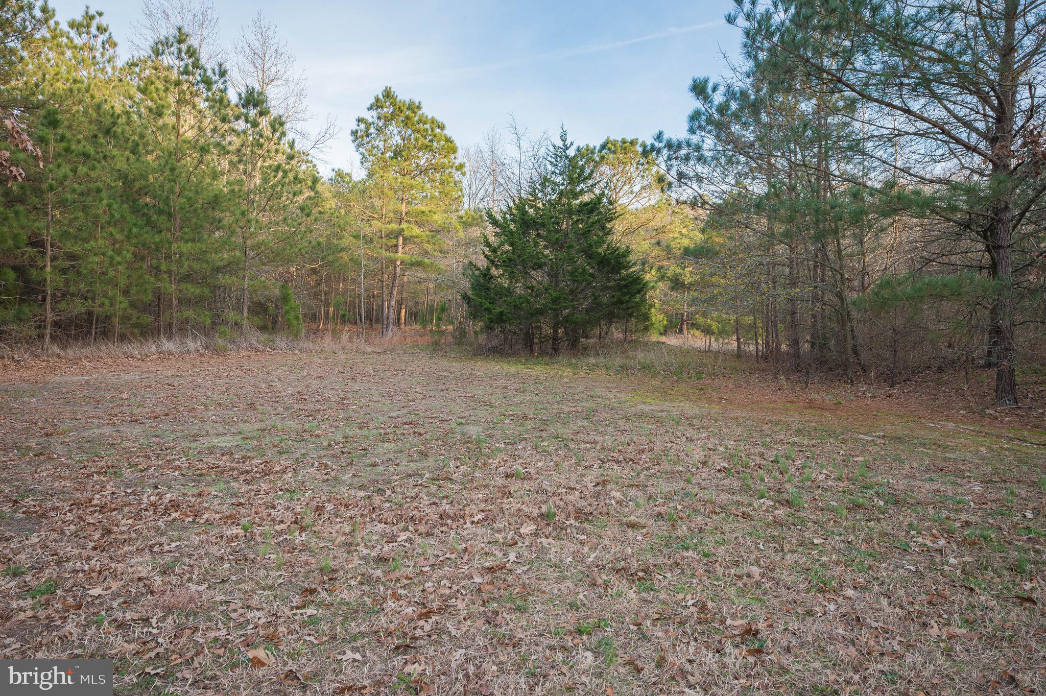 22071 Royal Oak Road Quantico, MD 21856 - Photo 33 of 40