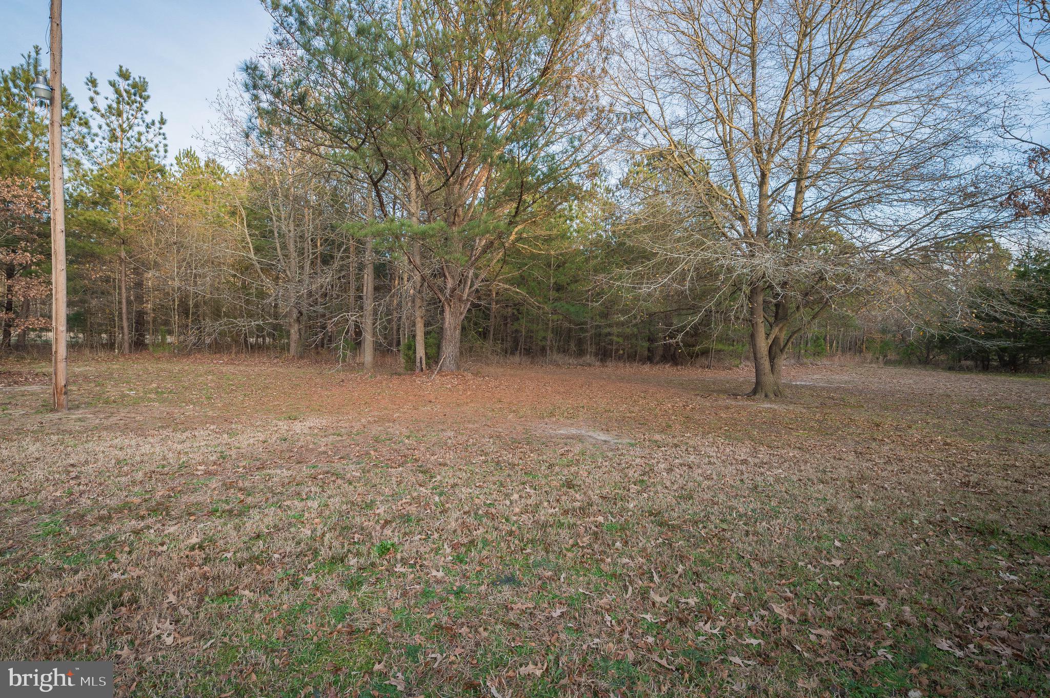 22071 Royal Oak Road Quantico, MD 21856 - Photo 35 of 40