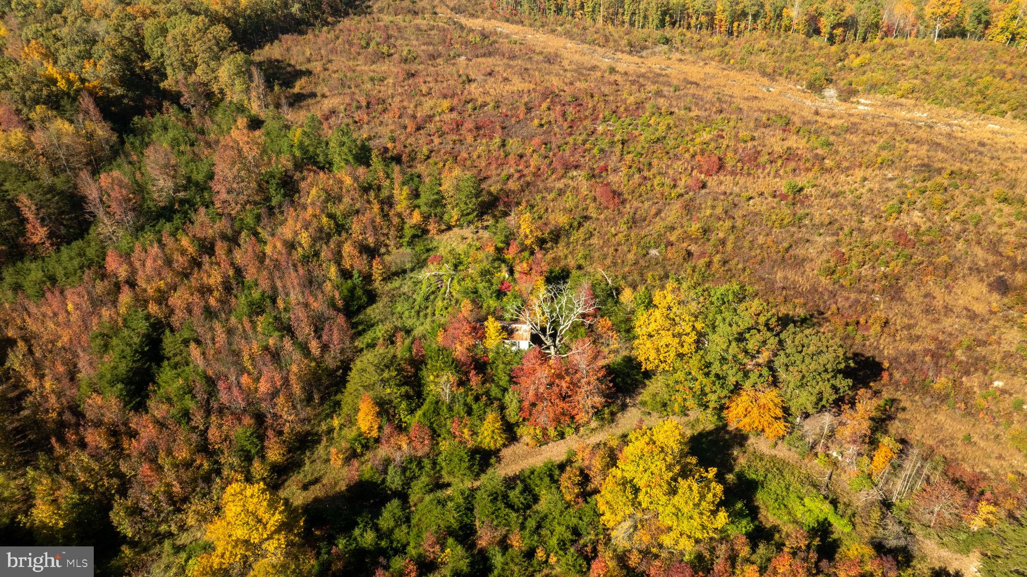 0 Summit Crossing Road Fredericksburg, VA 22408 - Photo 6 of 20