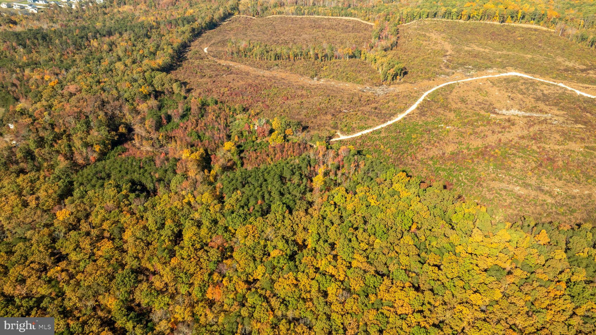 0 Summit Crossing Road Fredericksburg, VA 22408 - Photo 8 of 20