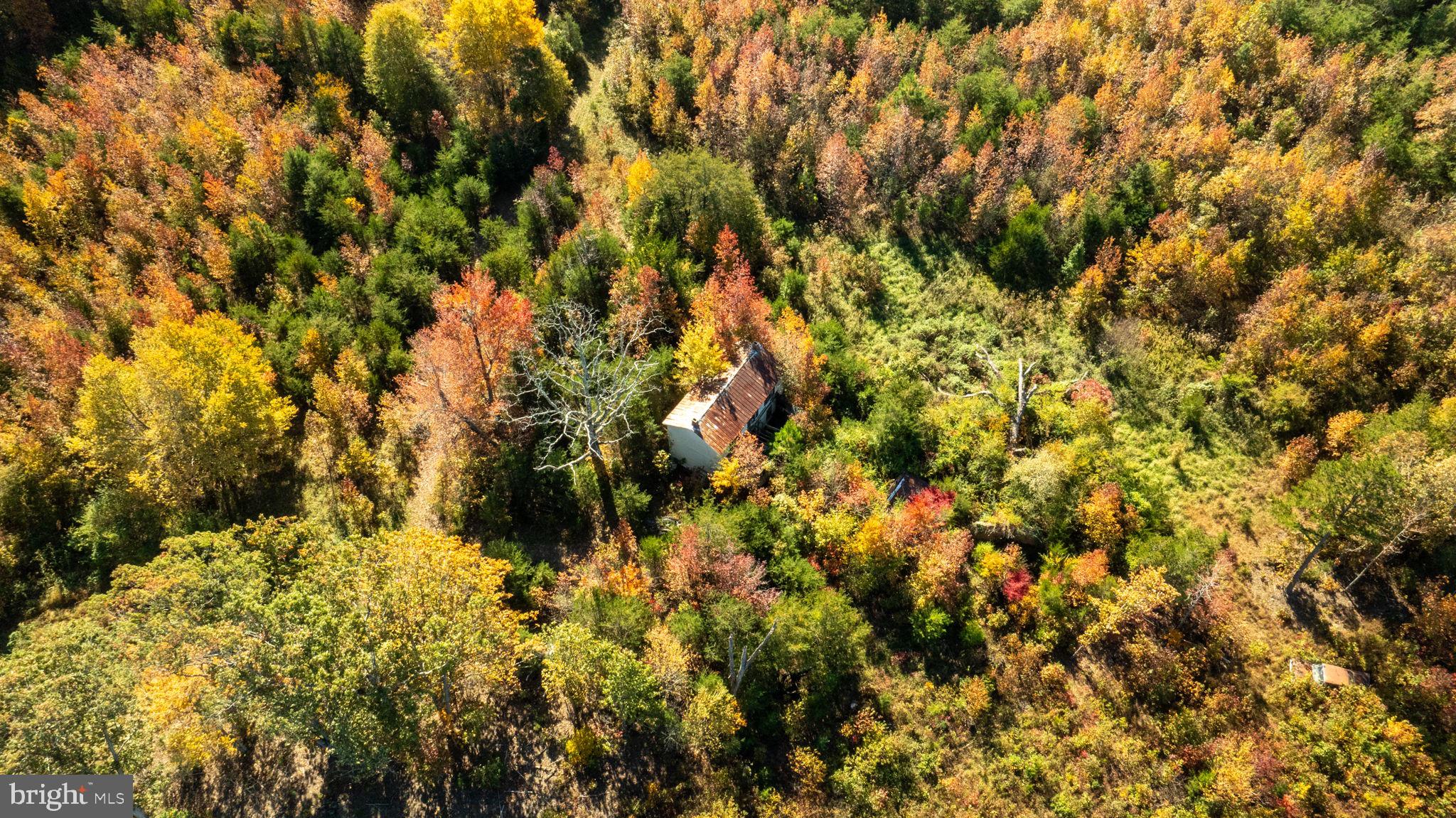 0 Summit Crossing Road Fredericksburg, VA 22408 - Photo 9 of 20