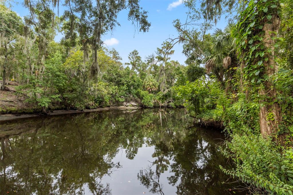 8312 Revels Road Riverview, FL 33569 - Photo 7 of 64