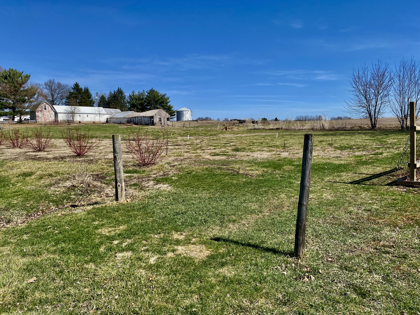301 South Maple Street Wyanet, IL 61379 - Photo 12 of 18