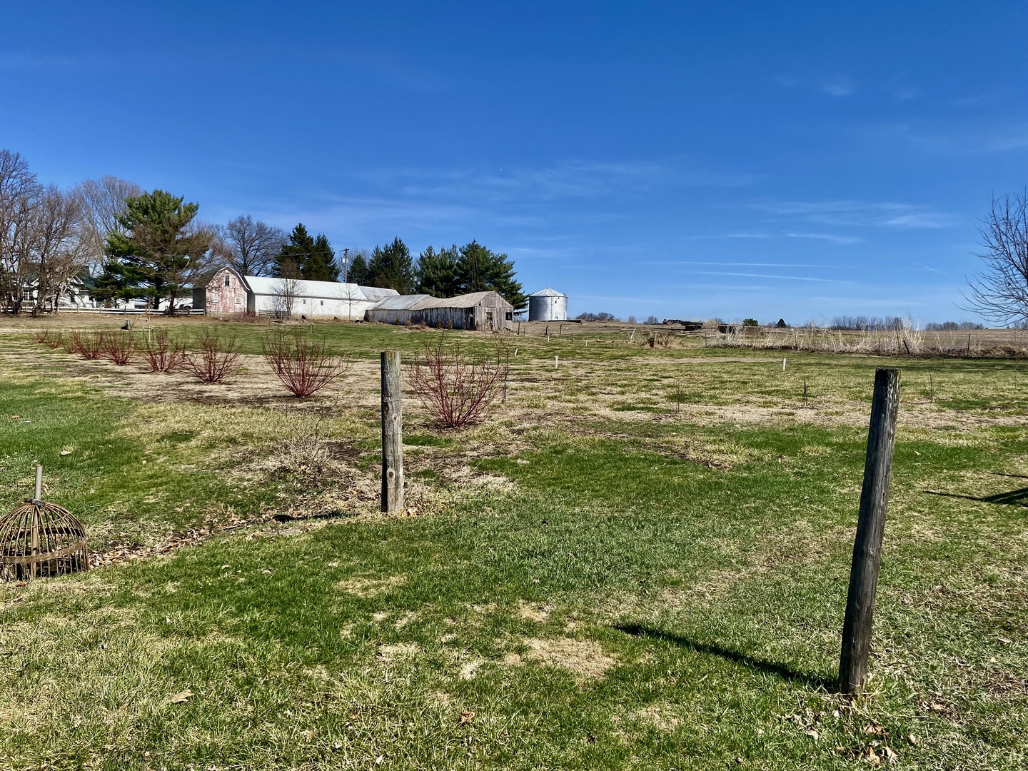 301 South Maple Street Wyanet, IL 61379 - Photo 13 of 18