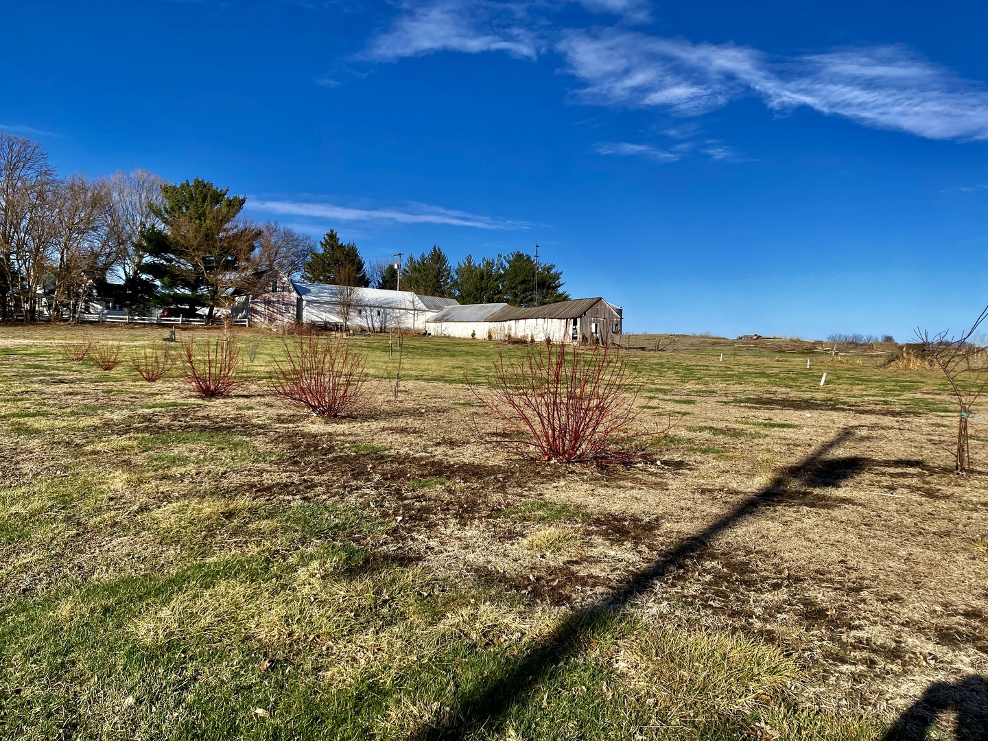 301 South Maple Street Wyanet, IL 61379 - Photo 14 of 18