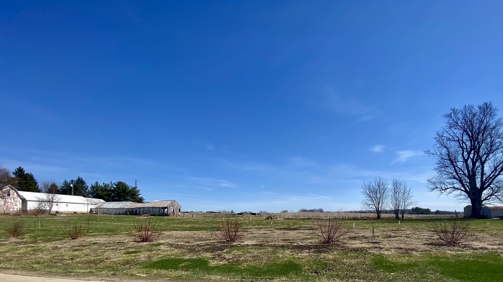 301 South Maple Street Wyanet, IL 61379 - Photo 2 of 13