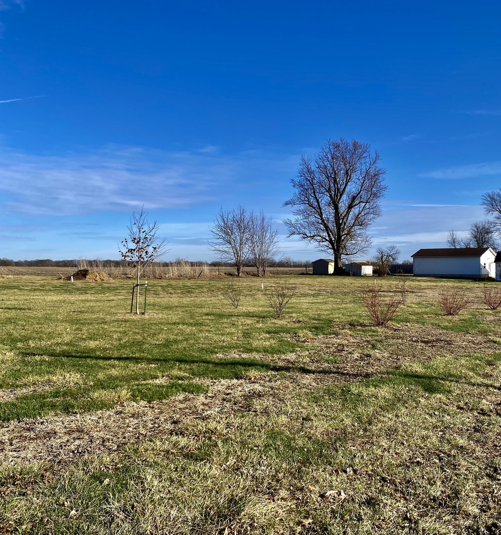 301 South Maple Street Wyanet, IL 61379 - Photo 6 of 13