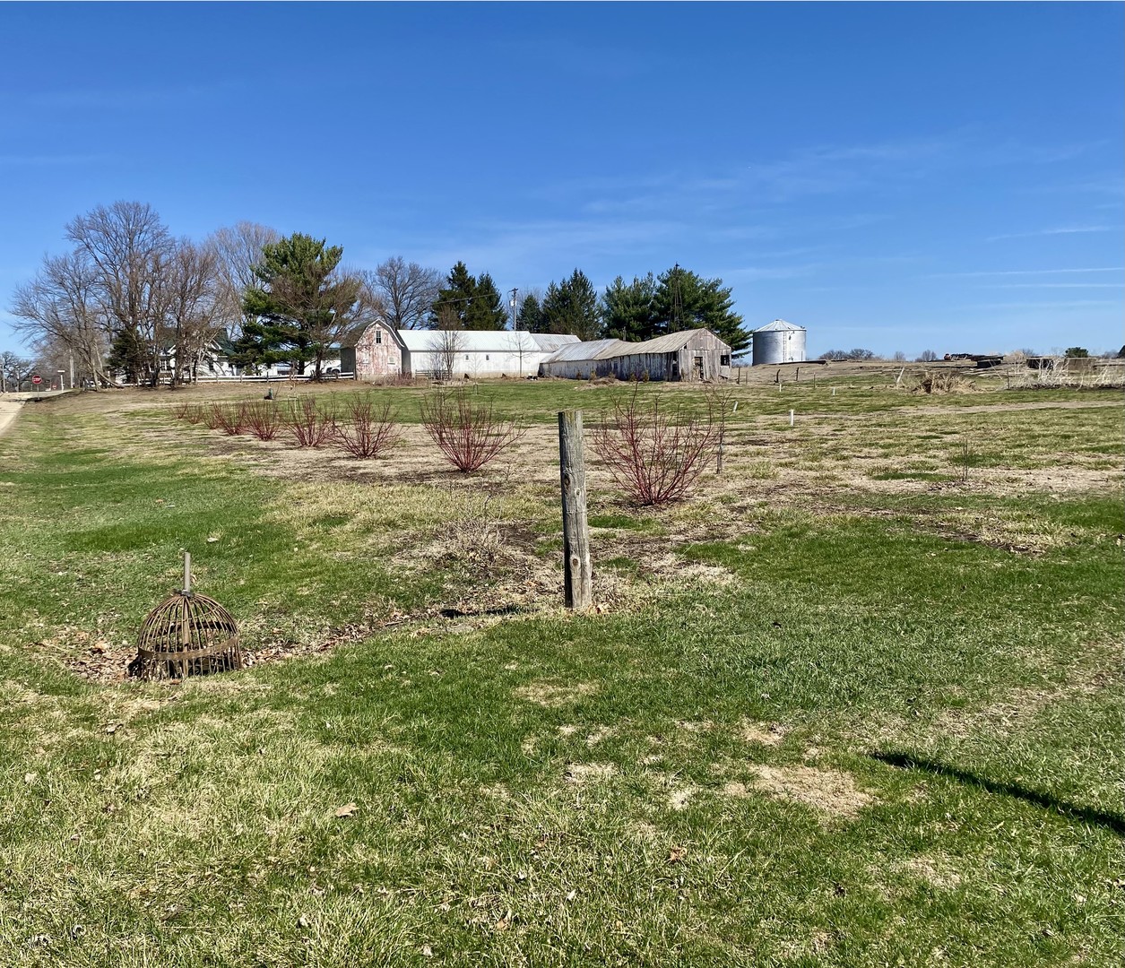 301 South Maple Street Wyanet, IL 61379 - Photo 6 of 18