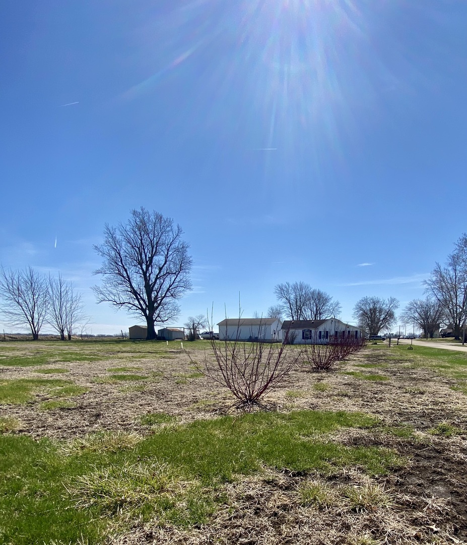 301 South Maple Street Wyanet, IL 61379 - Photo 8 of 13