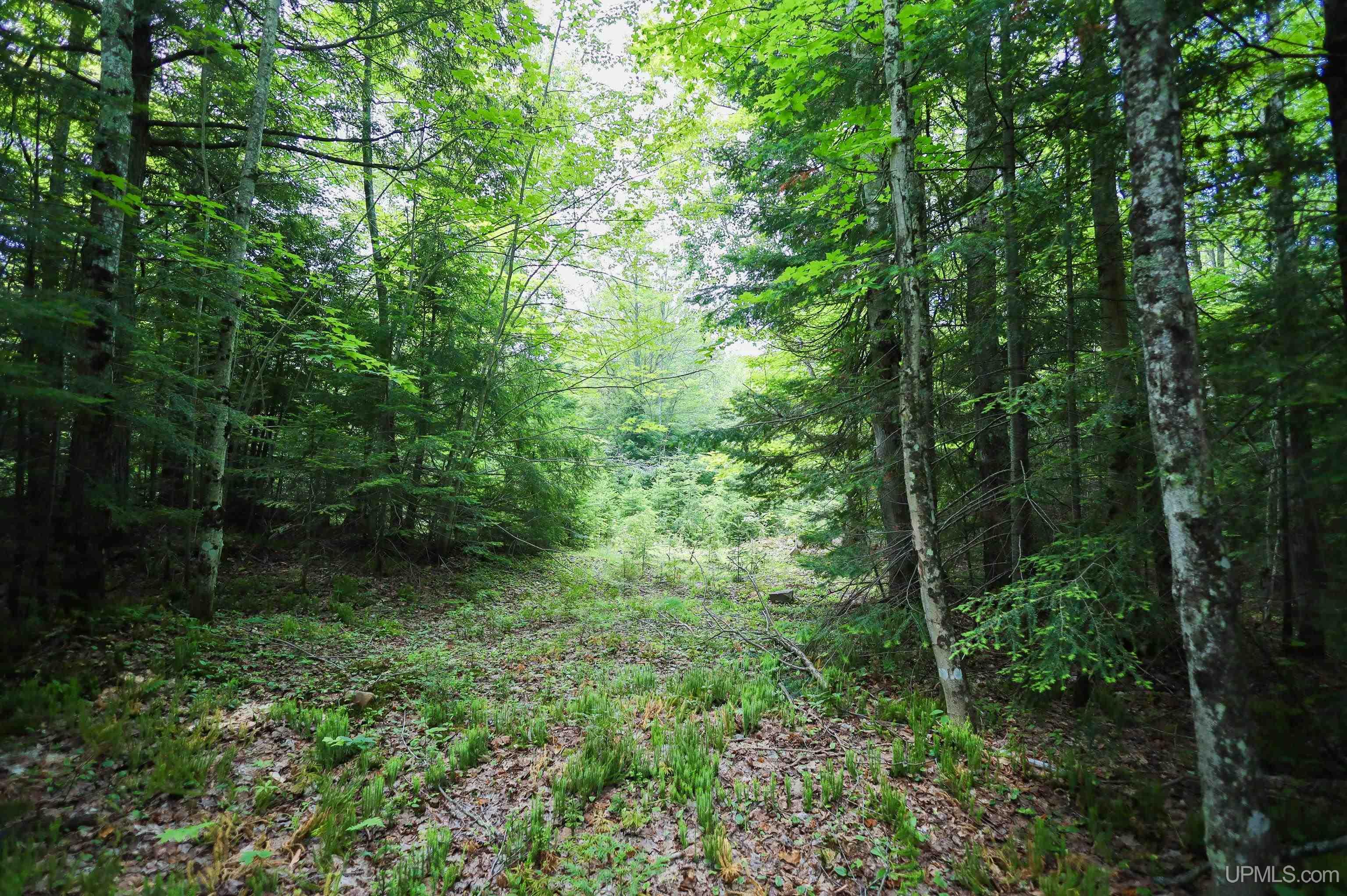 Tbd Sigan Road Marquette, MI 49855 - Photo 27 of 32