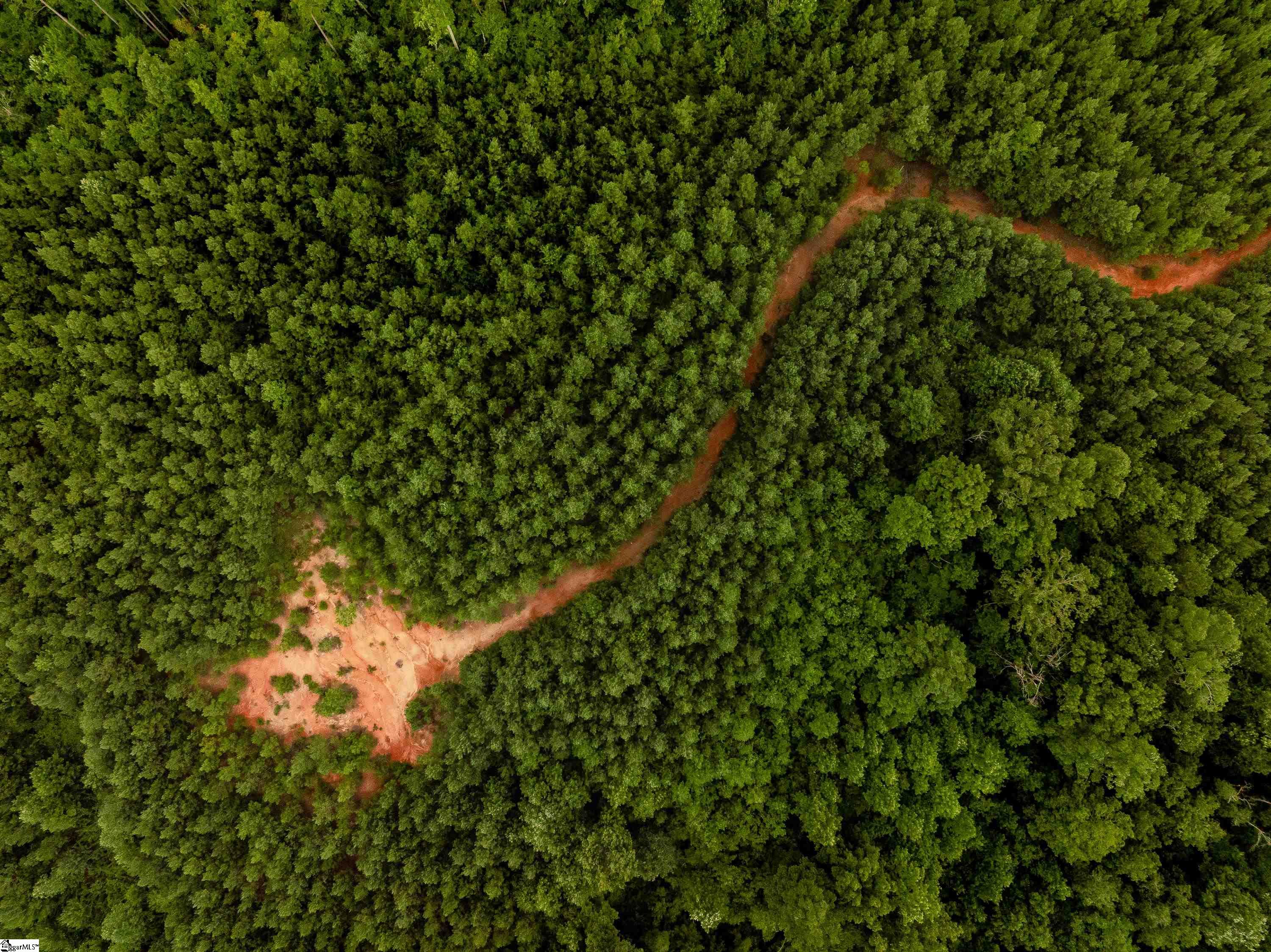 0 Old Flat Shoals Road Walhalla, SC 29691 - Photo 8 of 13 Gallery Image 8