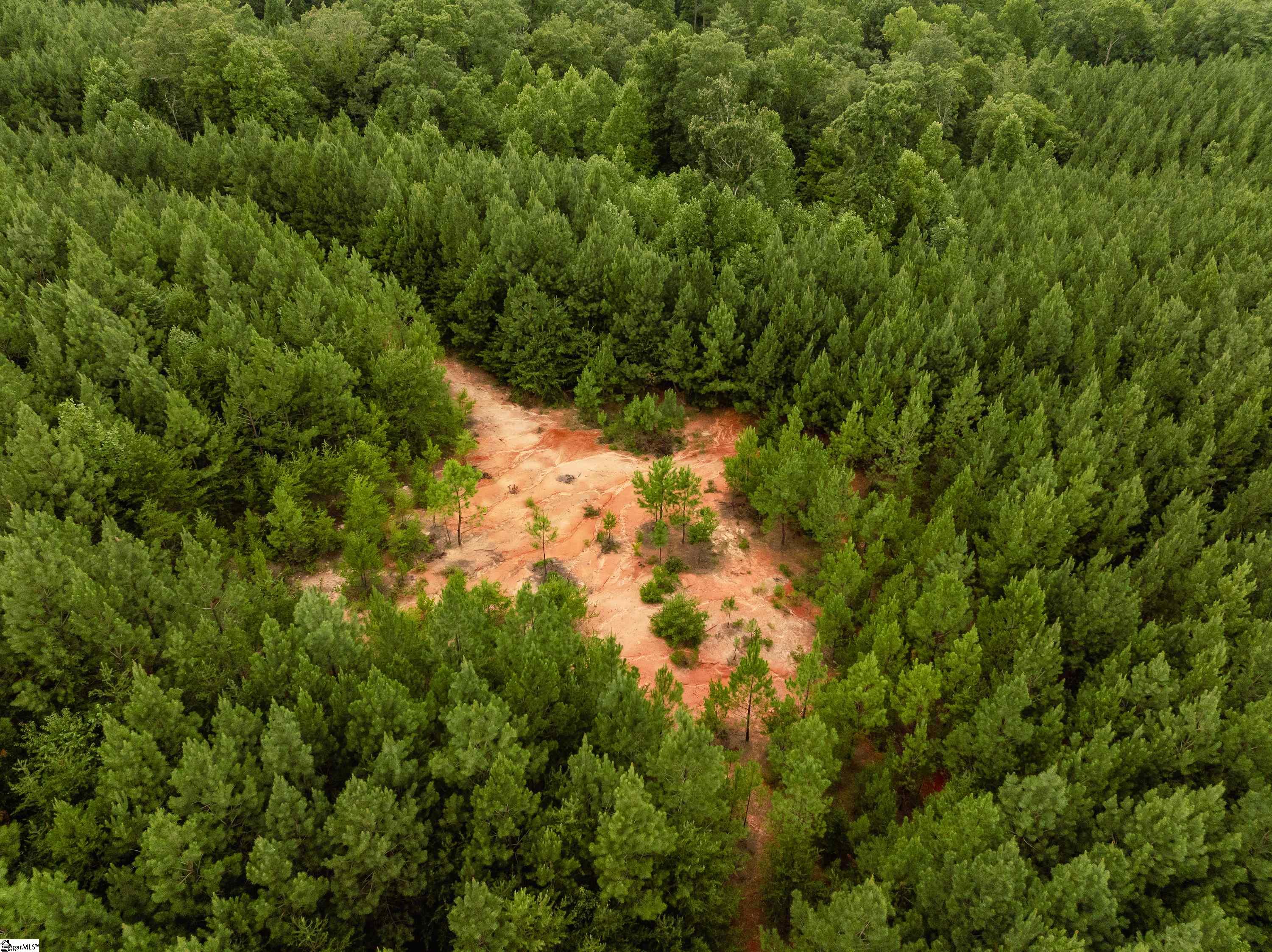 0 Old Flat Shoals Road Walhalla, SC 29691 - Photo 9 of 13 Gallery Image 9