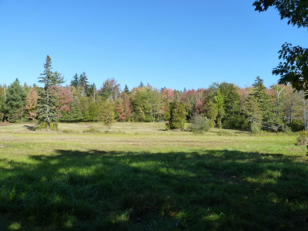 22 Corea Road Gouldsboro, ME 04669 - Photo 28 of 35 Photo