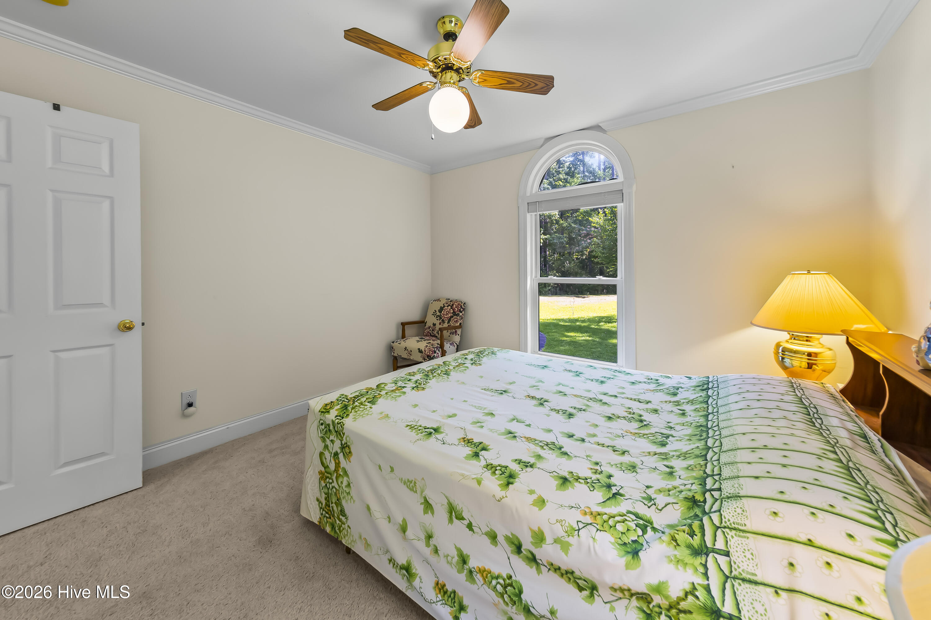 965 Old Mill Road Oriental, NC 28571 - Photo 17 of 62