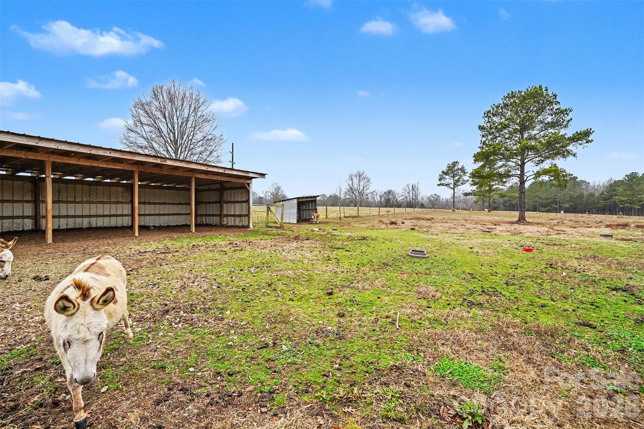 3135 Old Hickory Road Lancaster, SC 29720 - Photo 12 of 33 a view of a swimming pool with a backyard