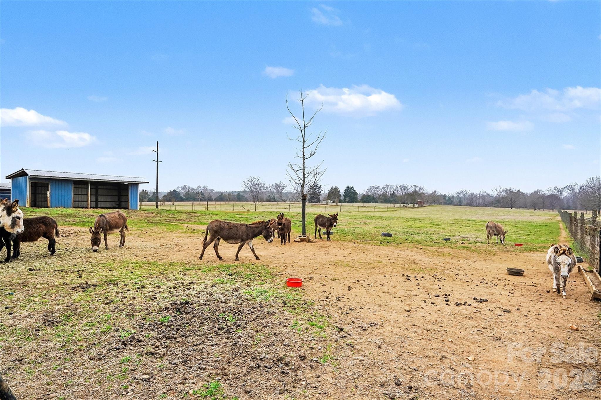 3135 Old Hickory Road Lancaster, SC 29720 - Photo 15 of 33