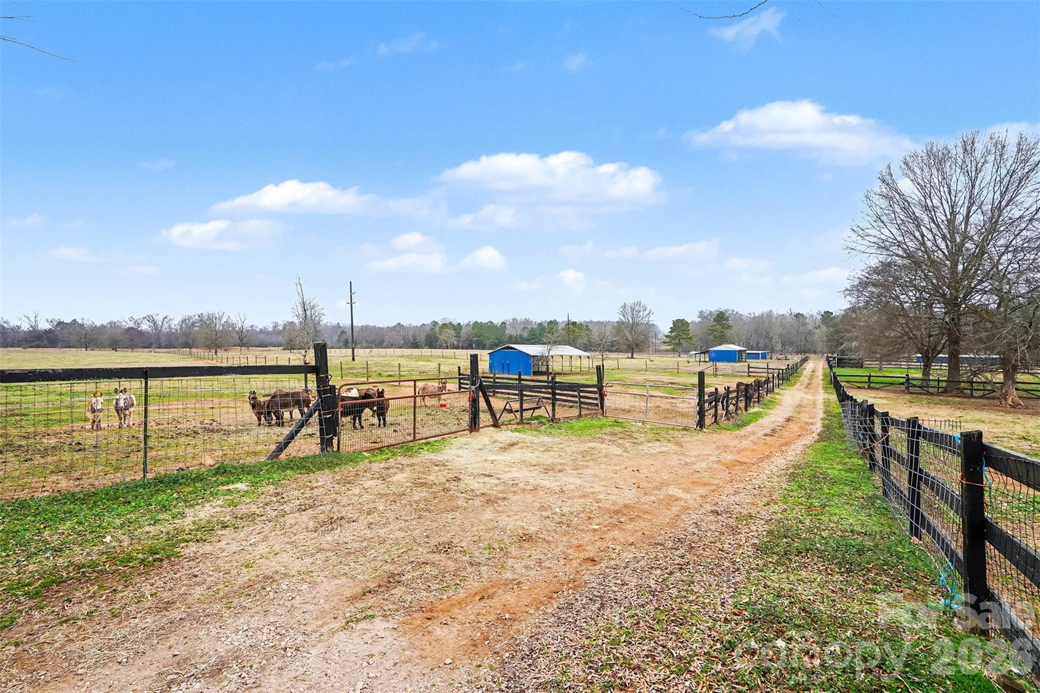 3135 Old Hickory Road Lancaster, SC 29720 - Photo 8 of 33 a view of a lake with a beach