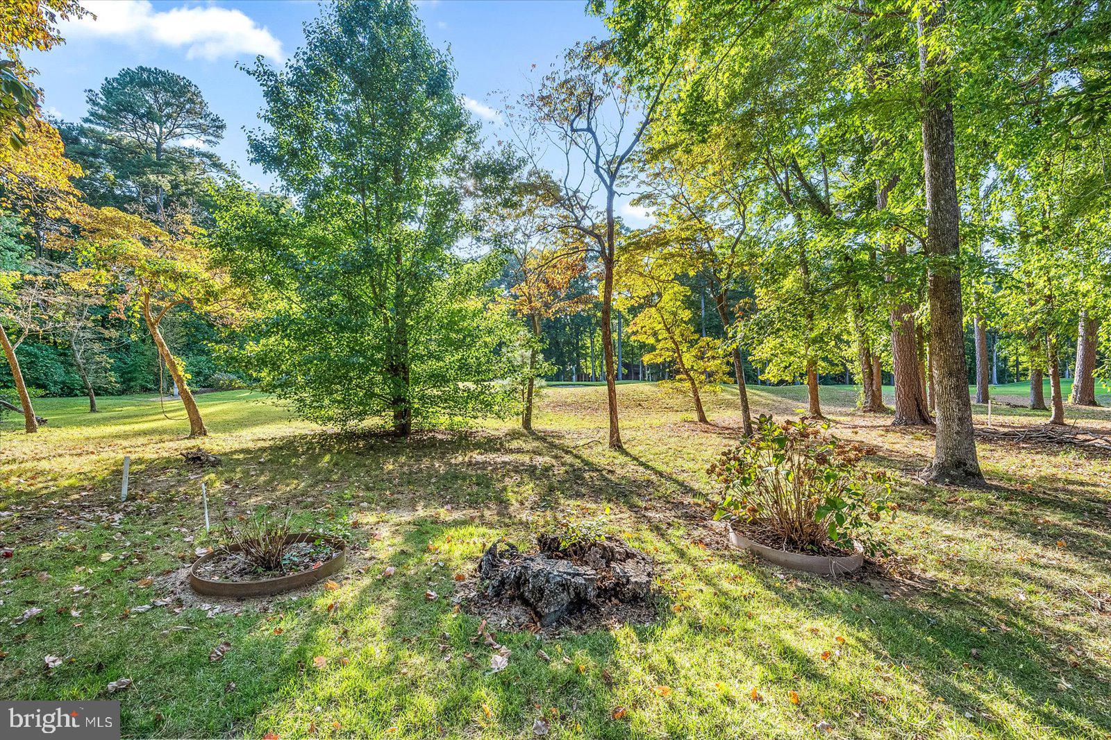 17 Drawbridge Road Ocean Pines, MD 21811 - Photo 44 of 56 back view of golf course