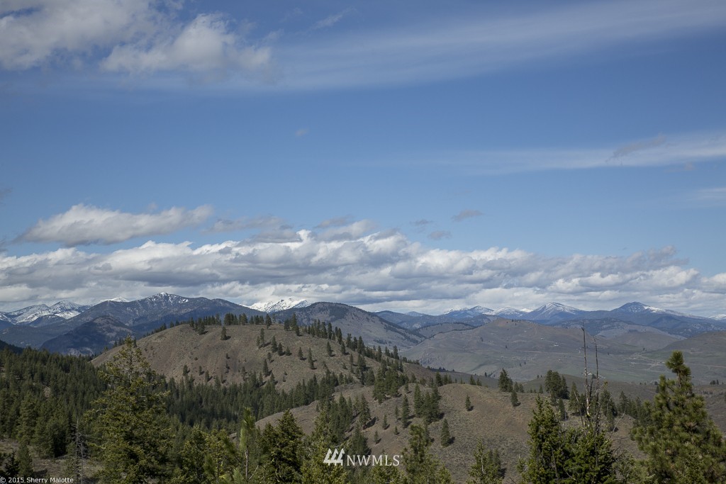 0 Nighthawk Ridge Road Winthrop, WA 98862 - Photo 1 of 8 Gallery Image 1