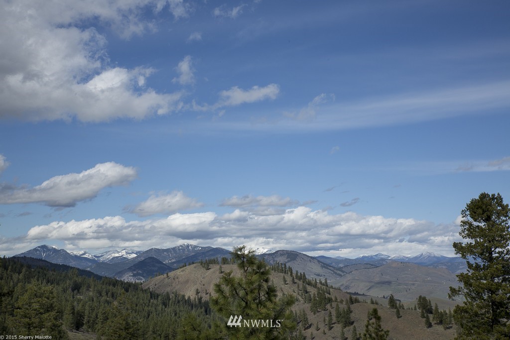 0 Nighthawk Ridge Road Winthrop, WA 98862 - Photo 2 of 8 Gallery Image 2