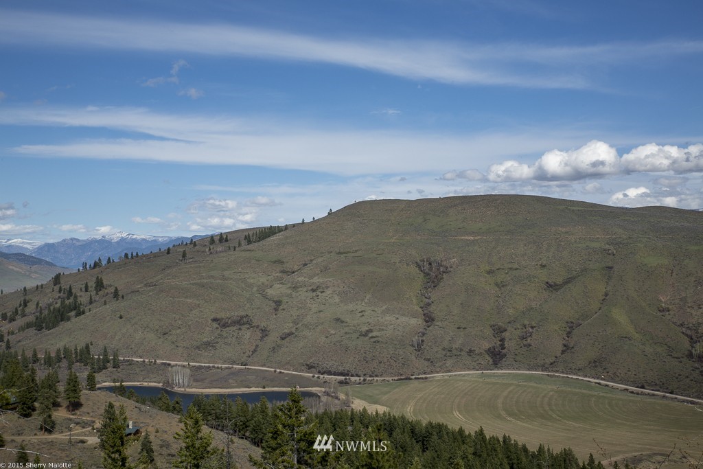 0 Nighthawk Ridge Road Winthrop, WA 98862 - Photo 3 of 8 Gallery Image 3