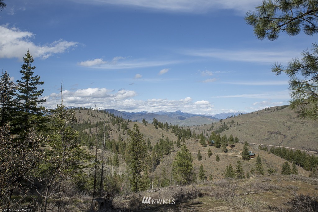0 Nighthawk Ridge Road Winthrop, WA 98862 - Photo 4 of 8 Gallery Image 4