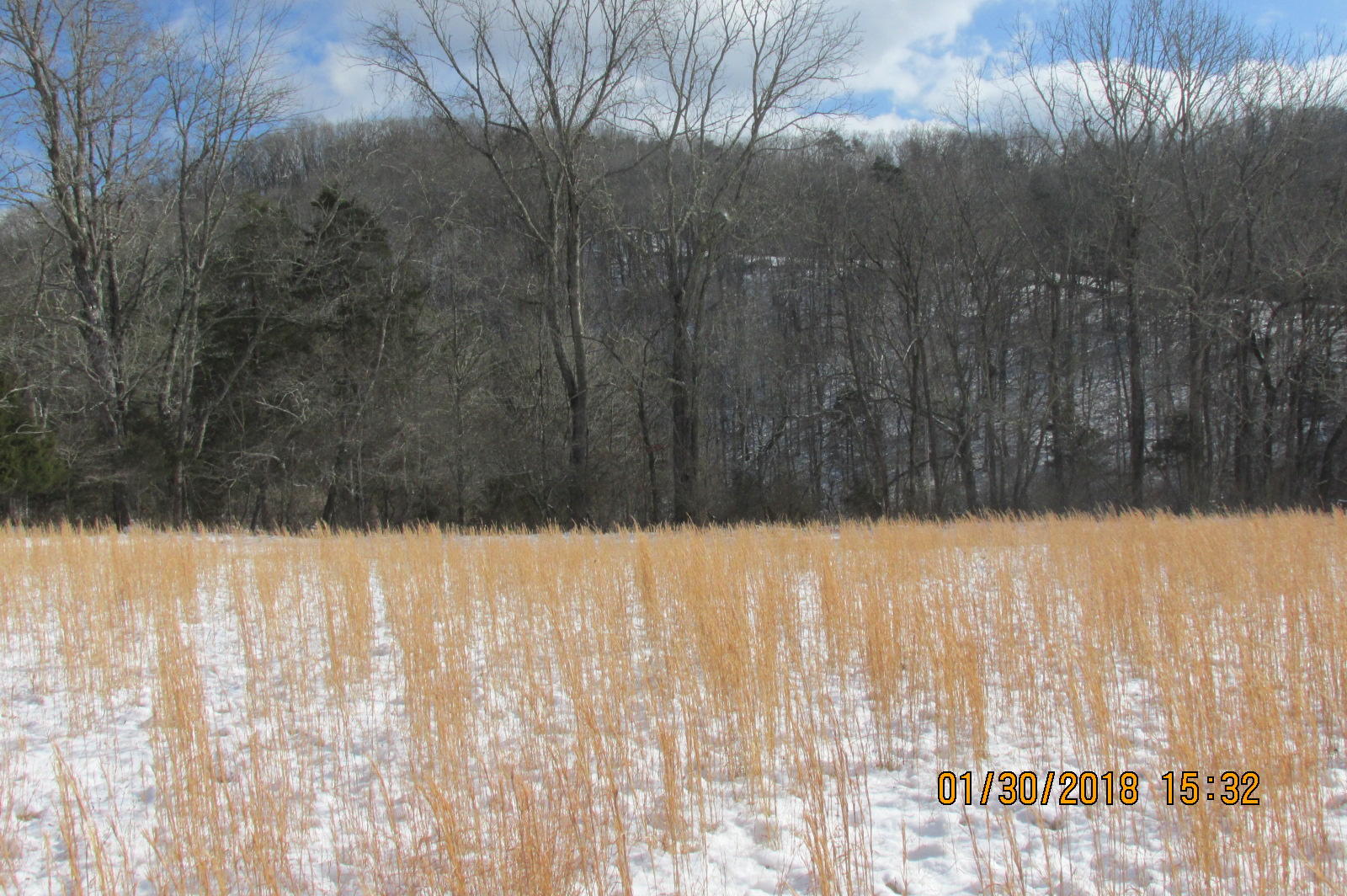 23-6 Oliver Ballard Road Union, WV 24983 - Photo 14 of 22 Gallery Image 14