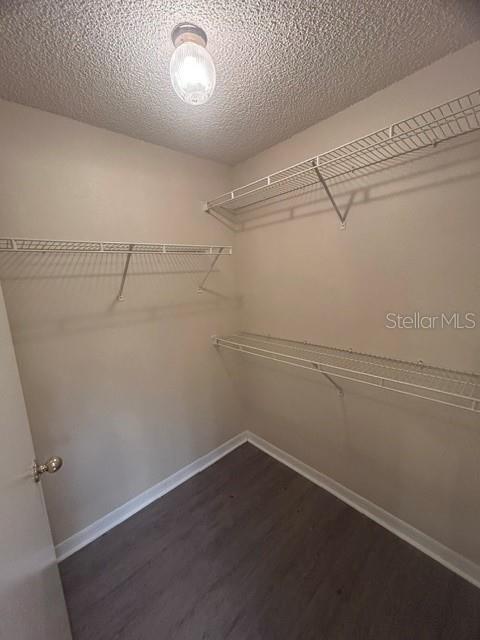 816 Shell Lane Longwood, FL 32750 - Photo 9 of 16
